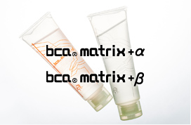 bca(R) matrix+α bca(R) matrix+β