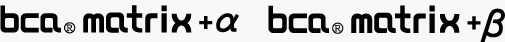 bca(R) matrix+α bca(R) matrix+β